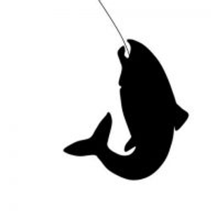 Reel 'Em In Fishing Charters